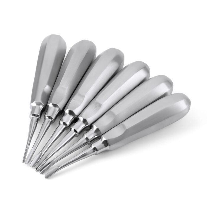 Dental Surgical Instrument Teeth Elevators Straight/Curved 6 Sizes - Image 2