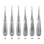 Dental Surgical Instrument Teeth Elevators Straight/Curved 6 Sizes - Image 3