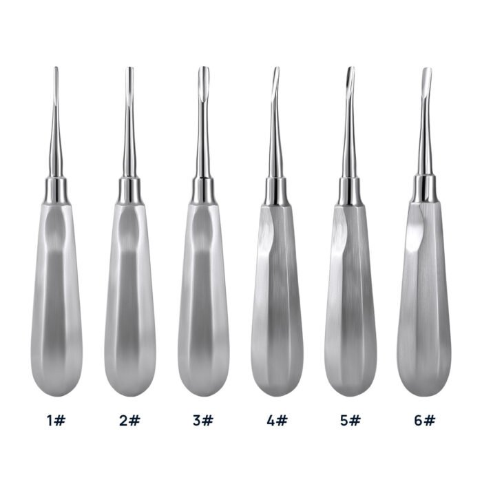 Dental Surgical Instrument Teeth Elevators Straight/Curved 6 Sizes - Image 3
