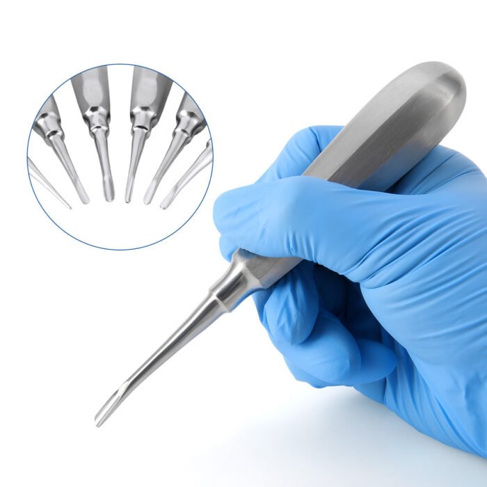 Dental Surgical Instrument Teeth Elevators Straight/Curved 6 Sizes - Image 6