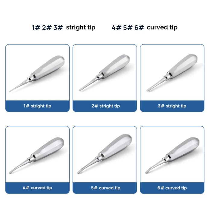 Dental Surgical Instrument Teeth Elevators Straight/Curved 6 Sizes - Image 5