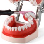Dental Ultra Clear Mouth Mirror Colorful Plastic/Metal Mirror Heads & Handle - Image 10