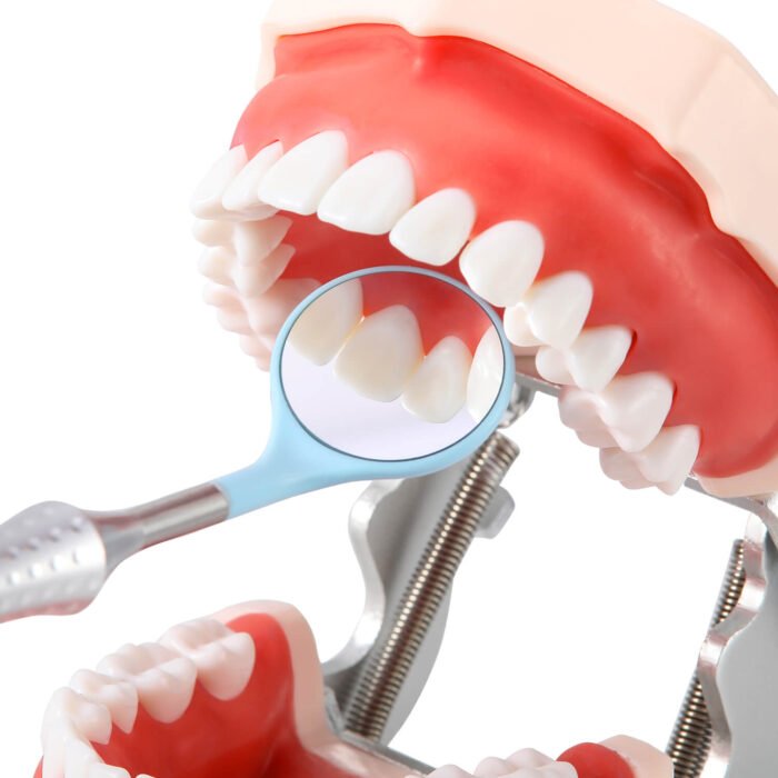 Dental Ultra Clear Mouth Mirror Colorful Plastic/Metal Mirror Heads & Handle - Image 11